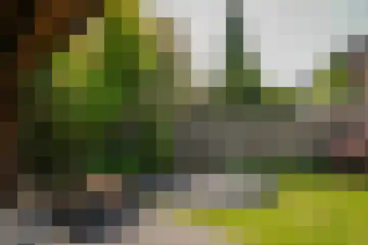 De Rijf 7 Berlicum thumbnail 40