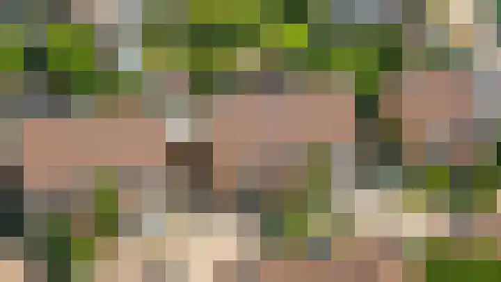 De Rijf 7 Berlicum thumbnail 47