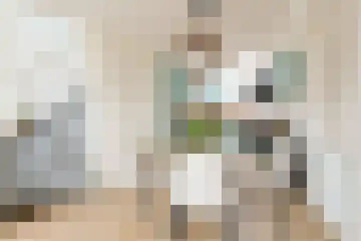 De Rijf 7 Berlicum thumbnail 48