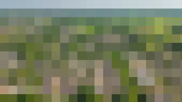 De Rijf 7 Berlicum thumbnail 50