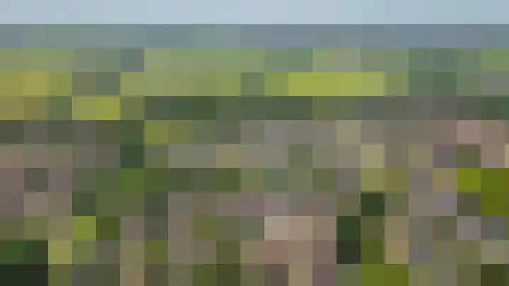 De Rijf 7 Berlicum thumbnail 51