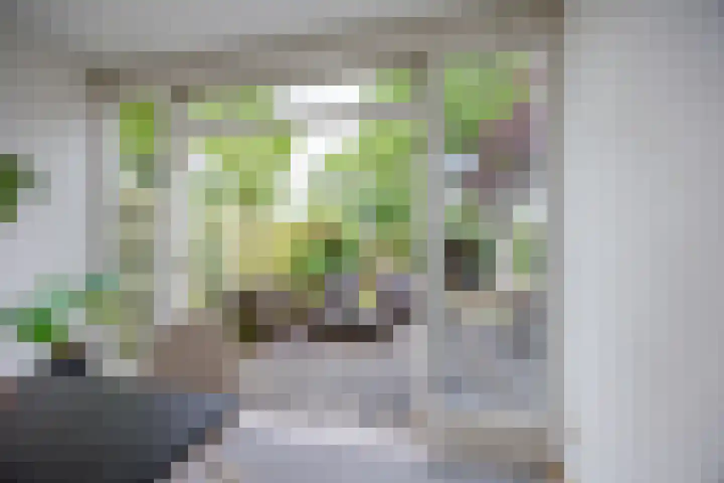 De Rijf 9 Malden thumbnail 11