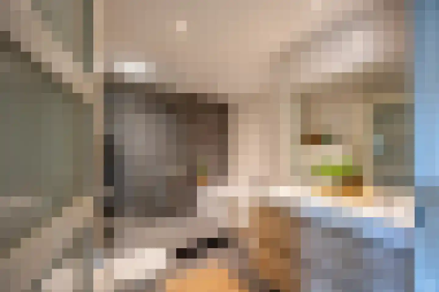 De Rijf 9 Malden thumbnail 18