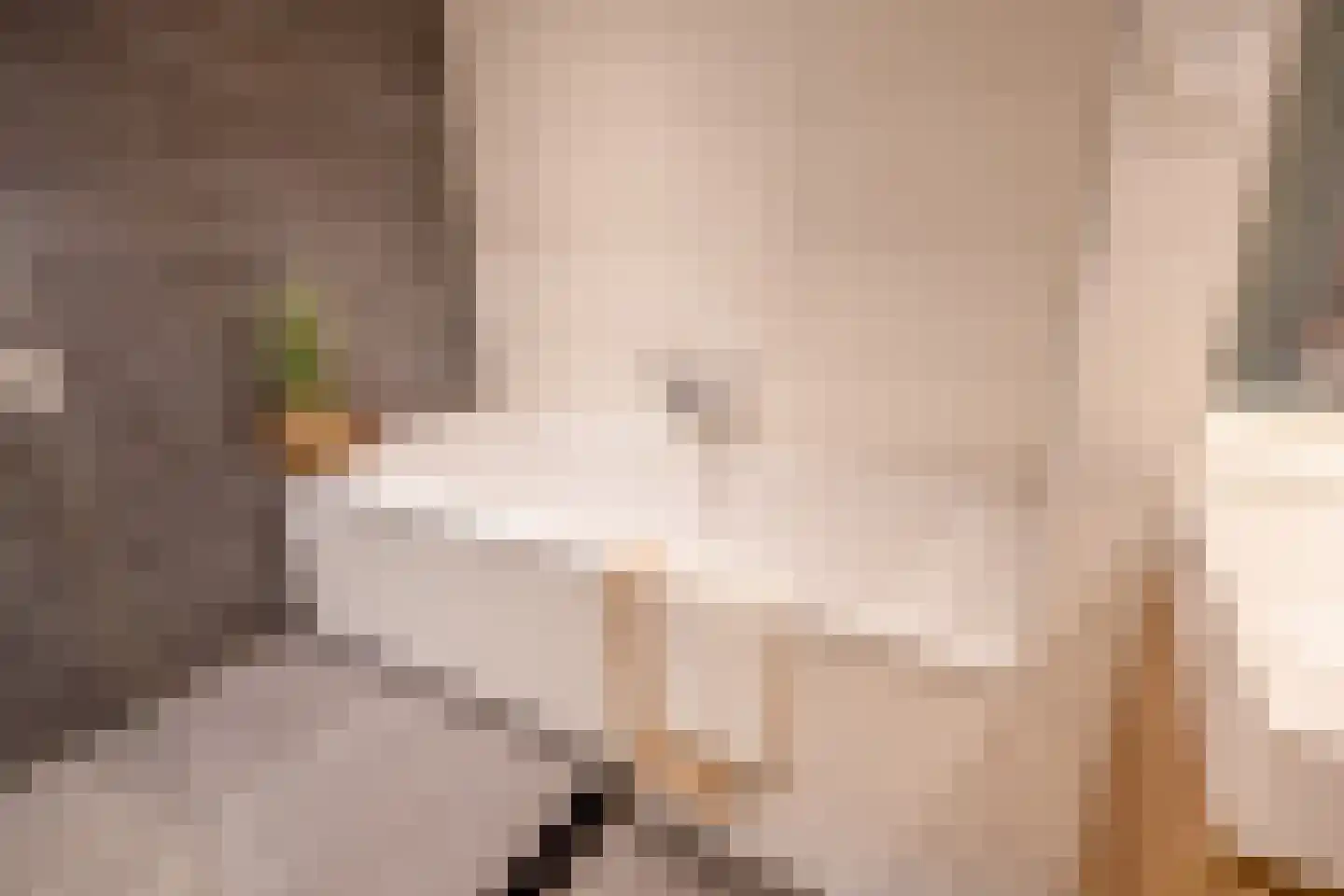 De Rijf 9 Malden thumbnail 20