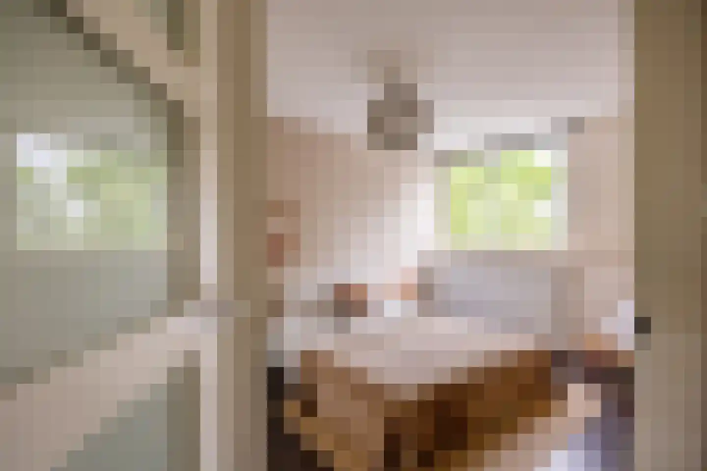 De Rijf 9 Malden thumbnail 22