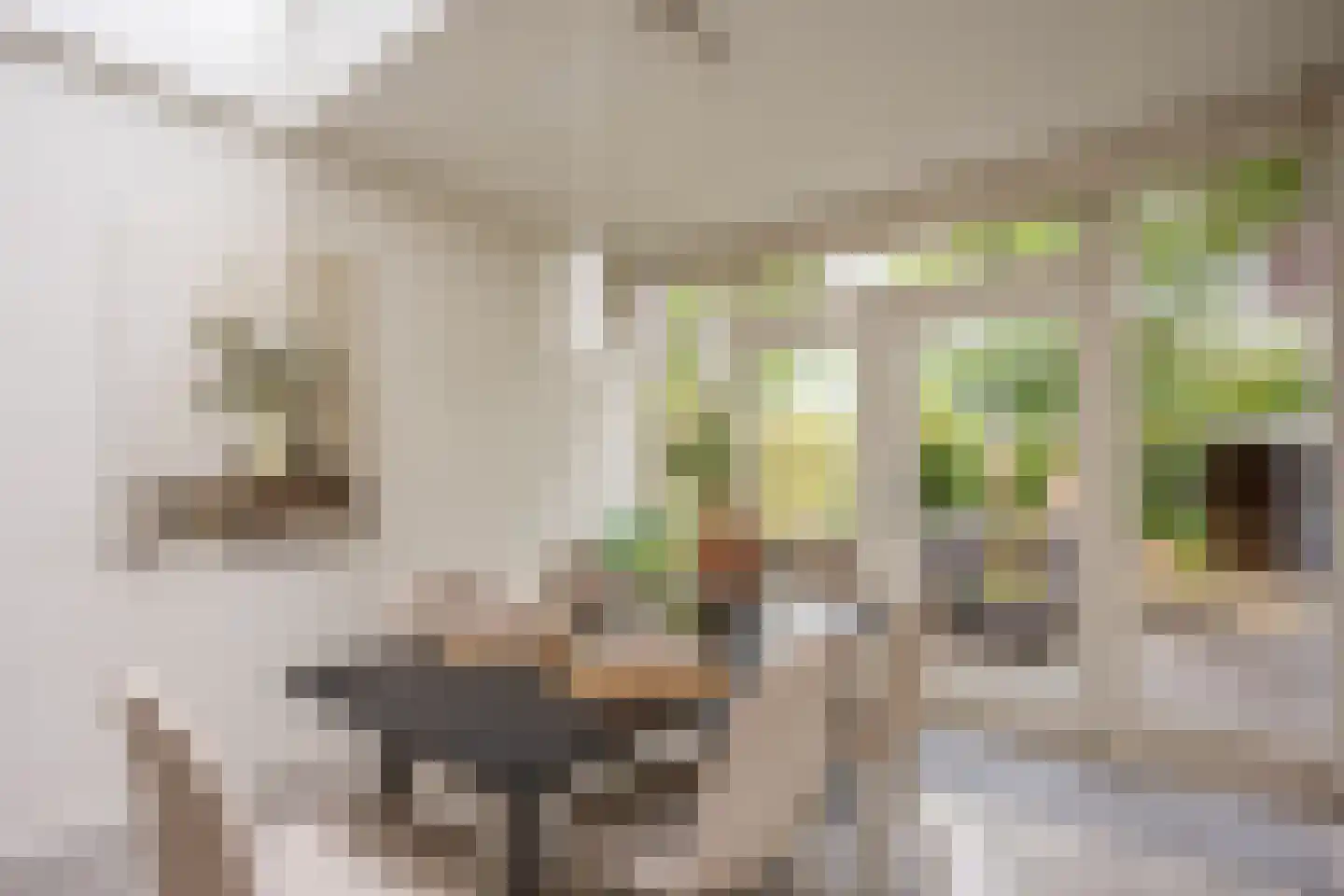 De Rijf 9 Malden thumbnail 8