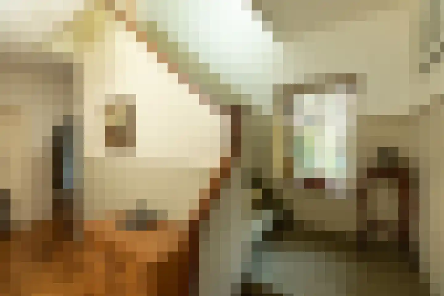 De Rijklaan 2 Hilversum thumbnail 15