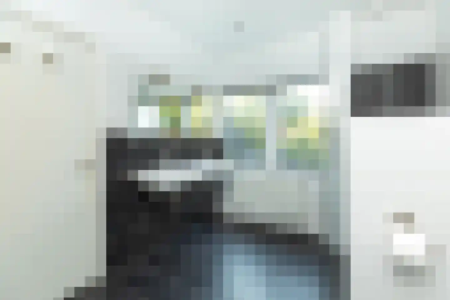 De Rijklaan 2 Hilversum thumbnail 20