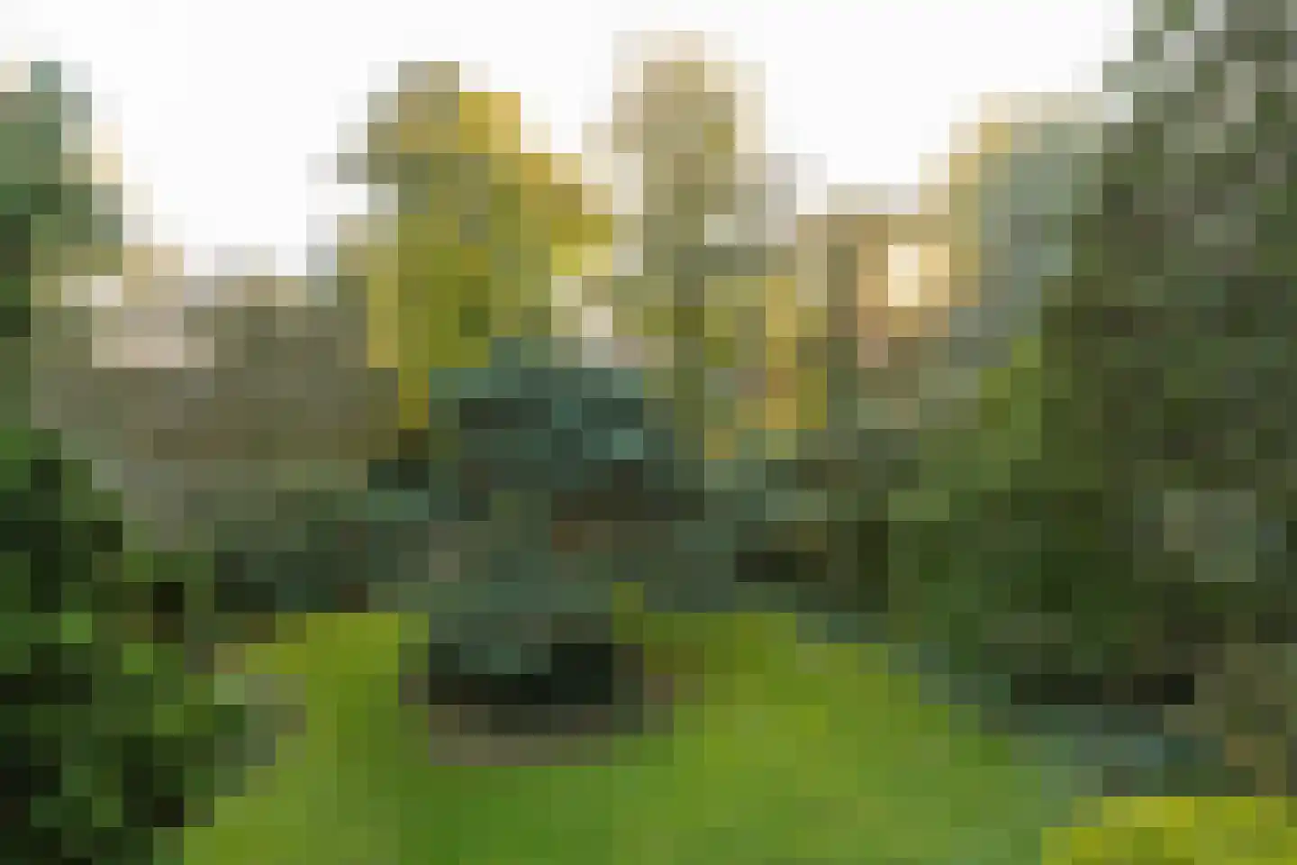 De Rijklaan 2 Hilversum thumbnail 32