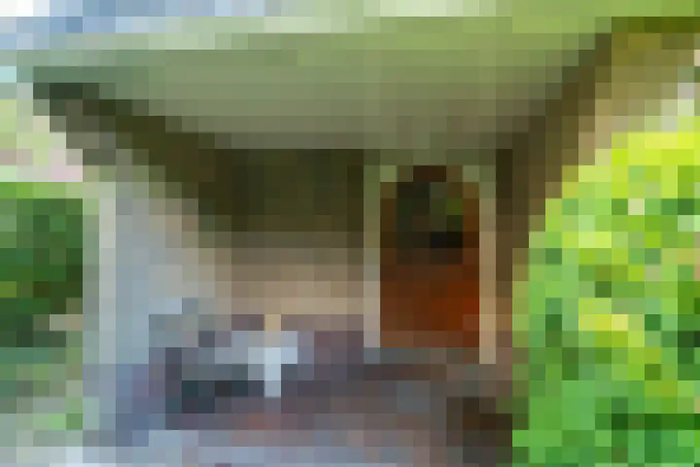 De Rijklaan 2 Hilversum thumbnail 35