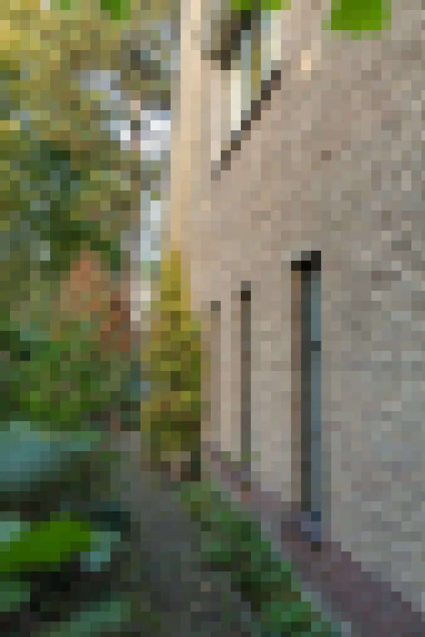 De Rijklaan 2 Hilversum thumbnail 37