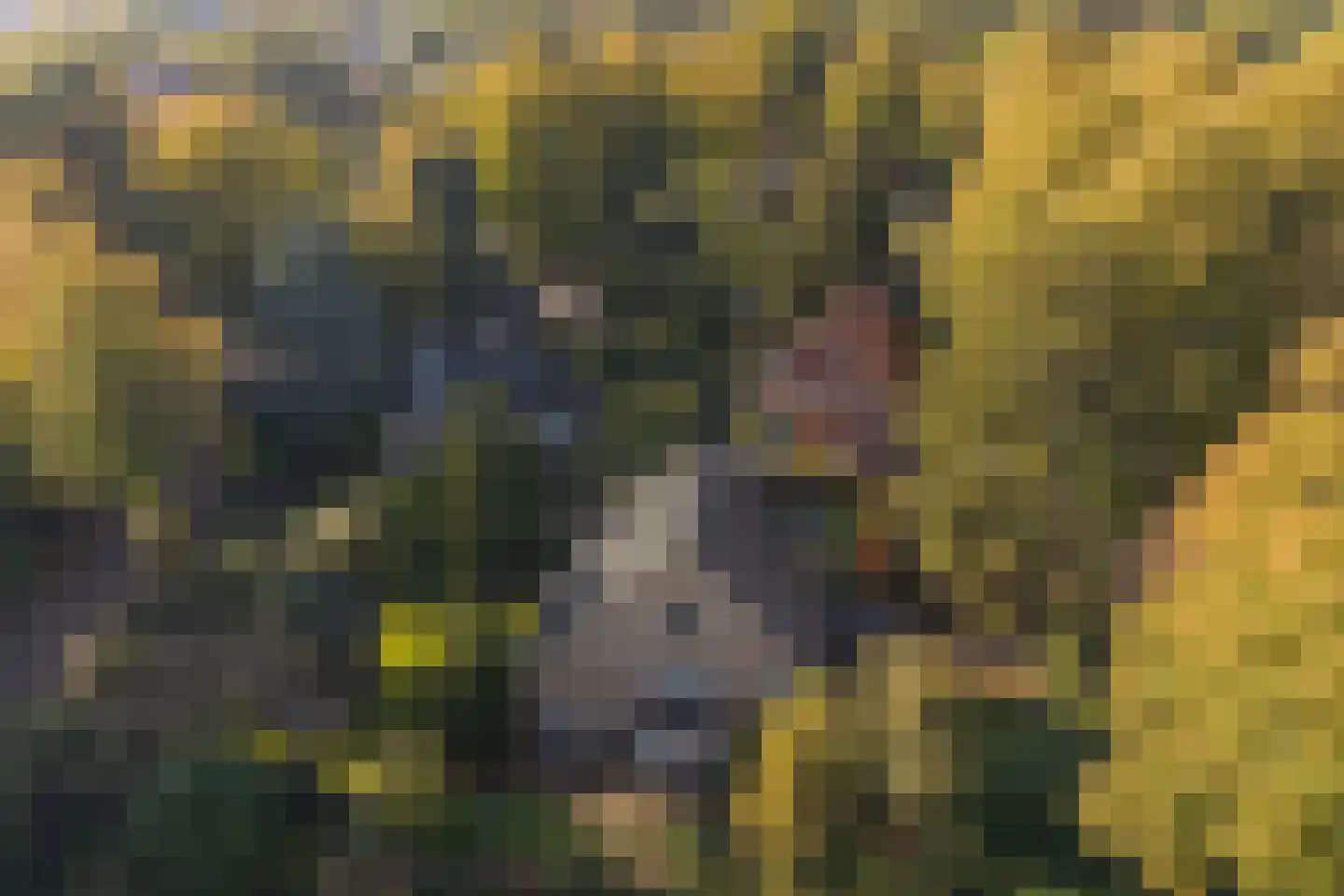 De Rijklaan 2 Hilversum thumbnail 39
