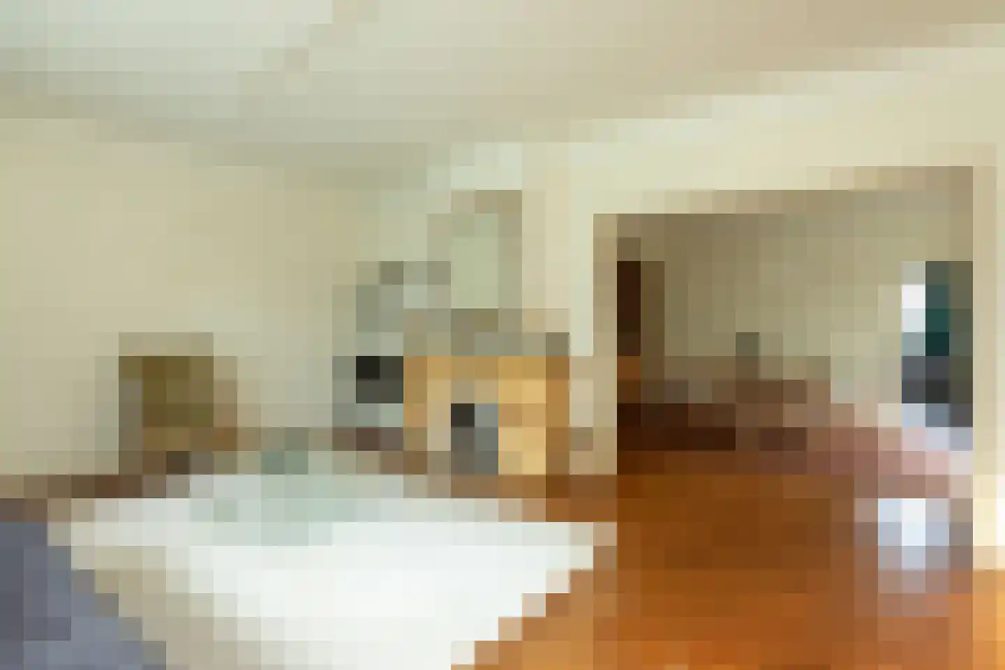 De Rijklaan 2 Hilversum thumbnail 5