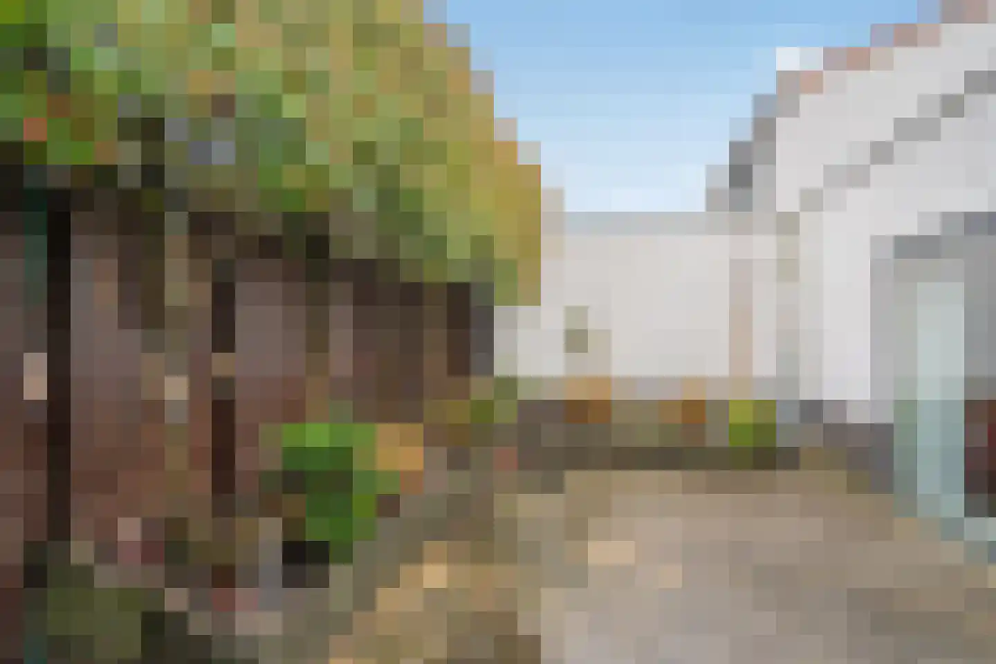 De Rijkstraat 38 Den Haag thumbnail 10