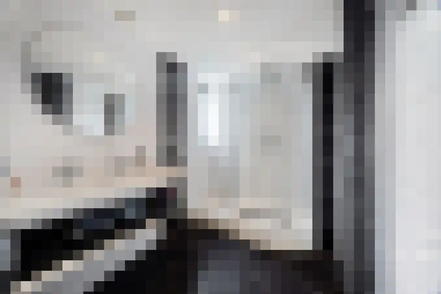 De Rijkstraat 6 Den Haag thumbnail 18