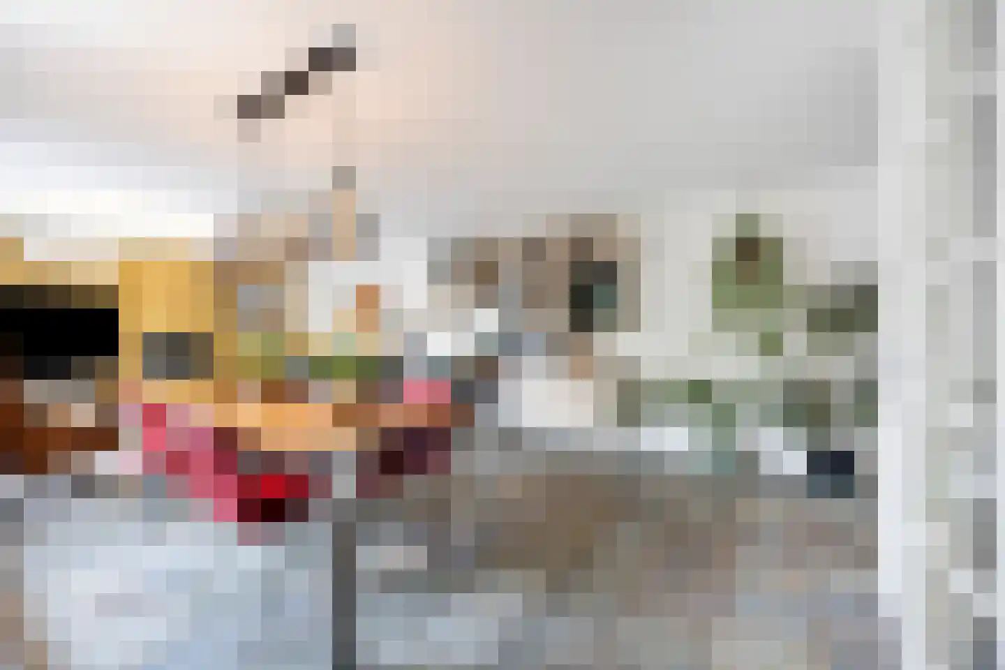 De Rijkstraat 6 Den Haag thumbnail 8