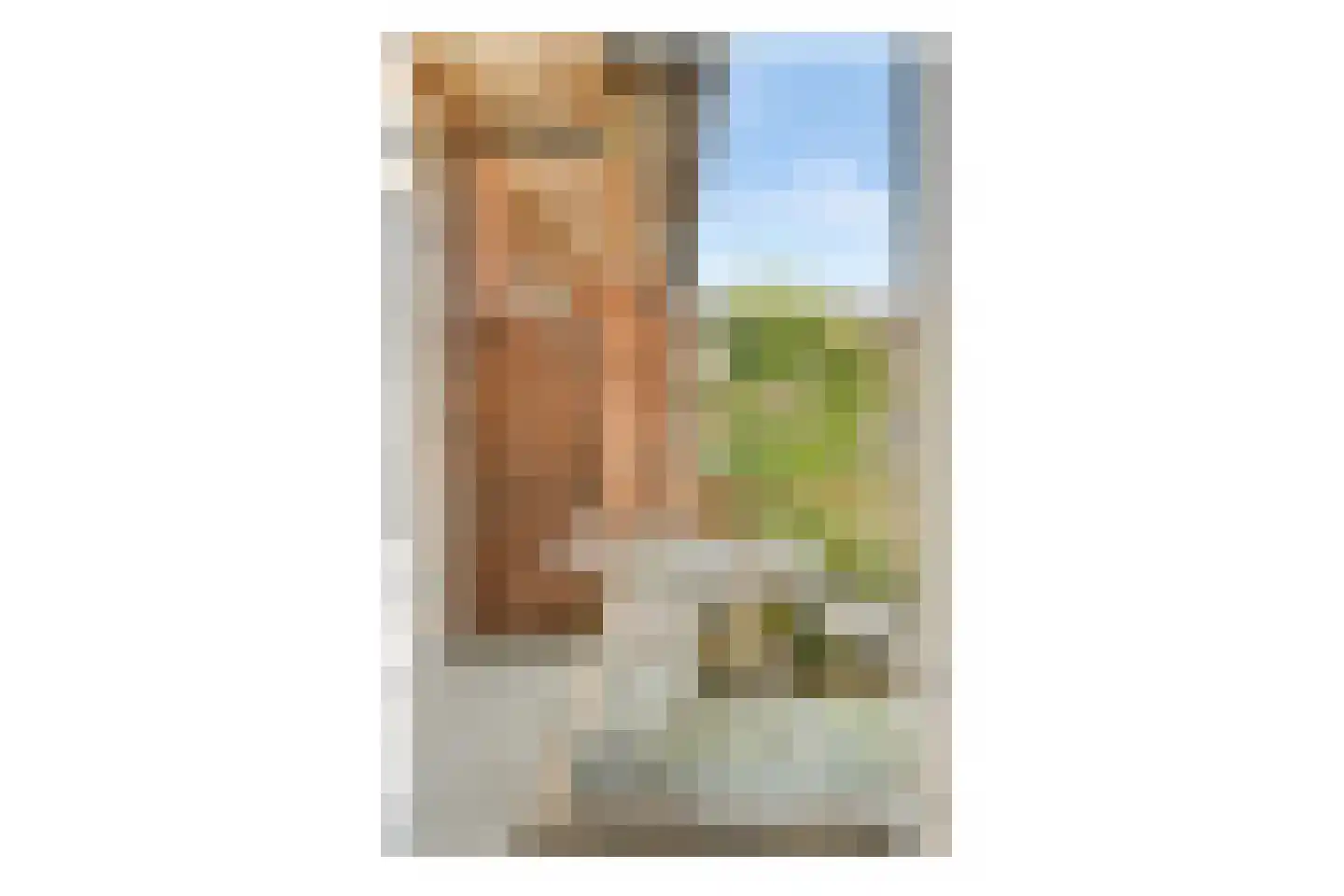 De Rijpgracht 14 1 Amsterdam thumbnail 23
