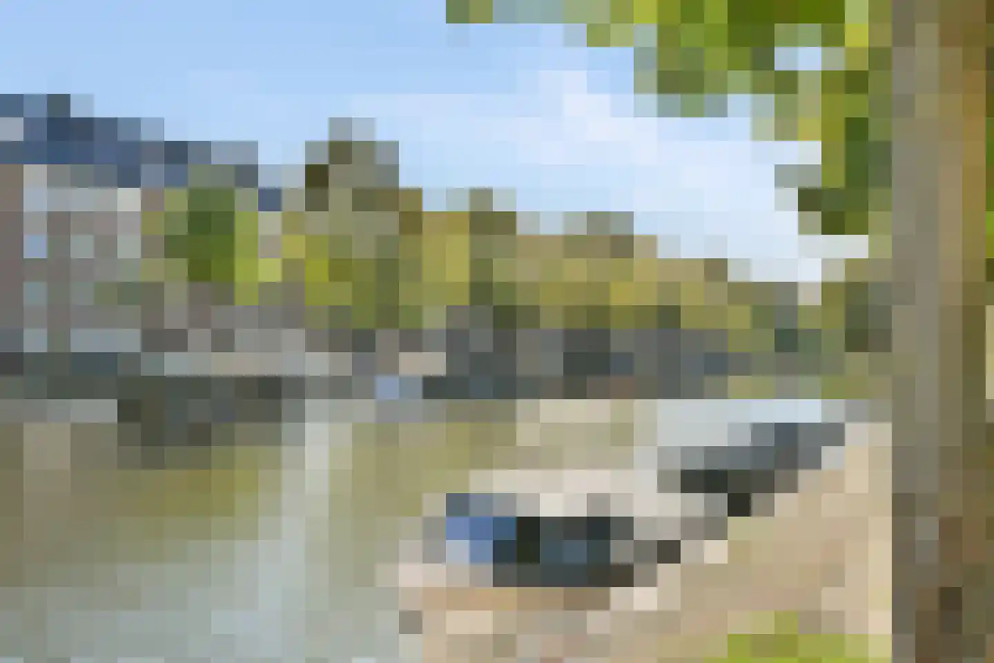De Rijpgracht 14 1 Amsterdam thumbnail 34