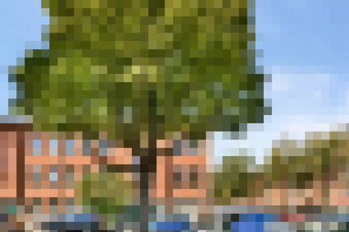 De Rijpgracht 14 1 Amsterdam thumbnail 4