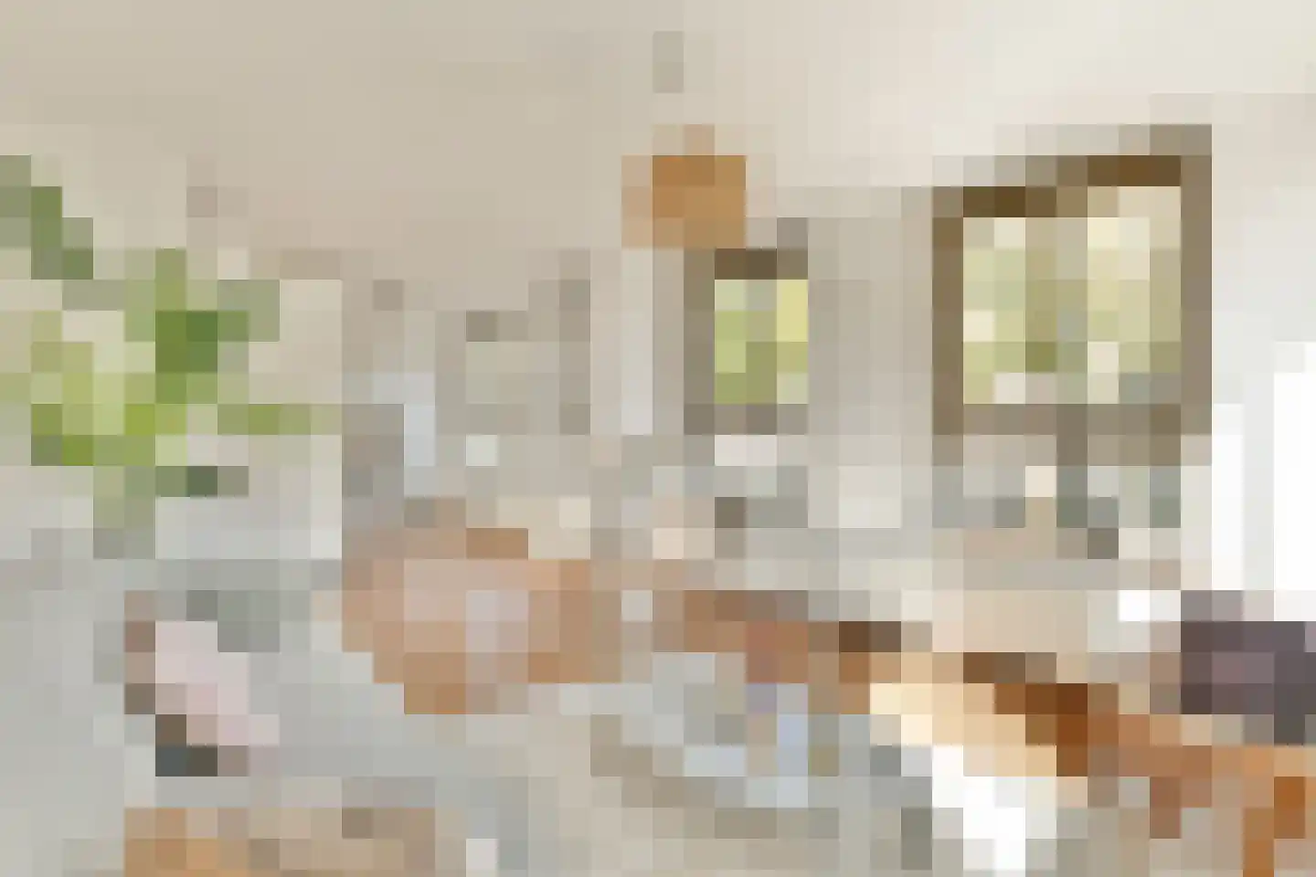 De Rijpgracht 14 1 Amsterdam thumbnail 8