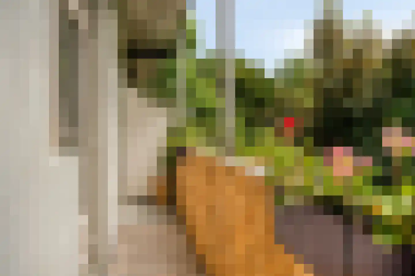De Rijpgracht 29 3 Amsterdam thumbnail 19