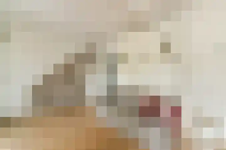De Rijpgracht 34 1 Amsterdam thumbnail 9