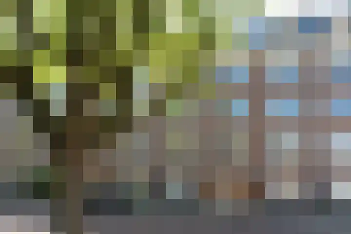 De Rijpgracht 47 H Amsterdam thumbnail 19