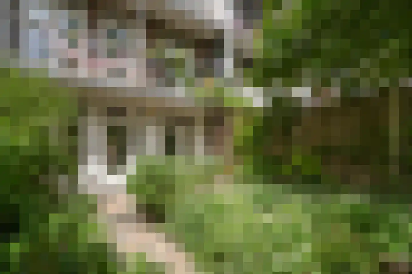 De Rijpgracht 59 1 Amsterdam thumbnail 16