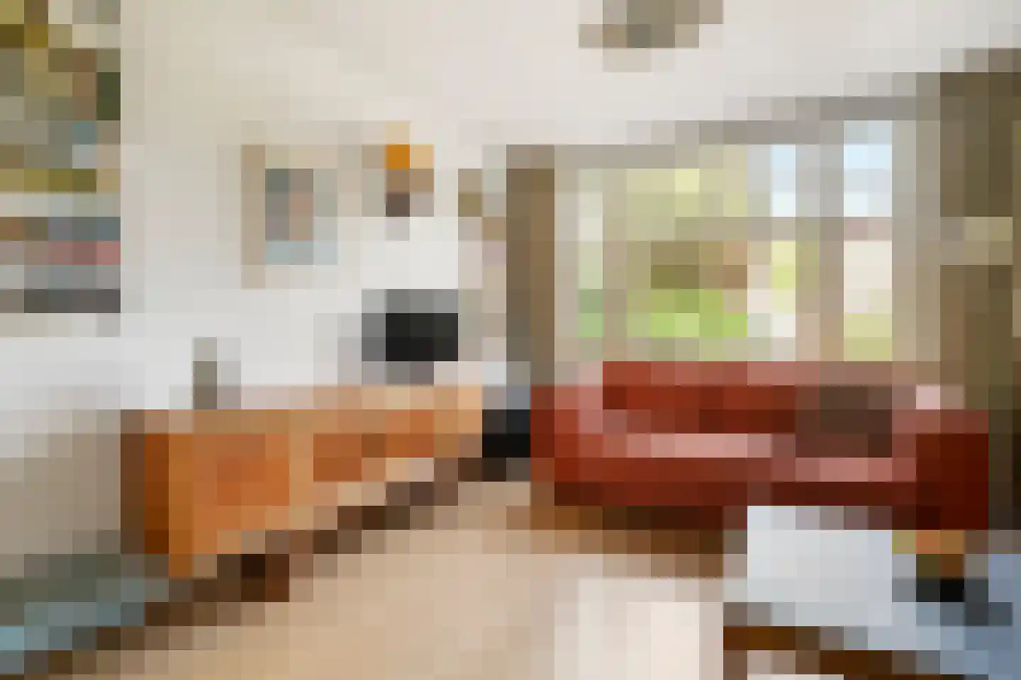 De Rijpgracht 59 1 Amsterdam thumbnail 4