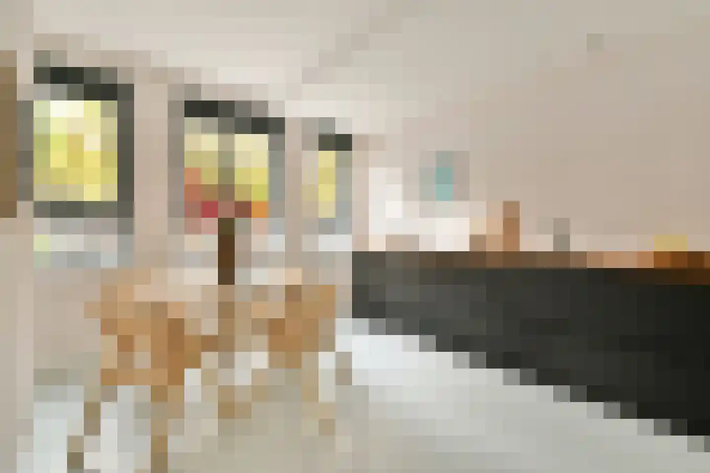 De Rijpgracht 6 E Amsterdam thumbnail 12