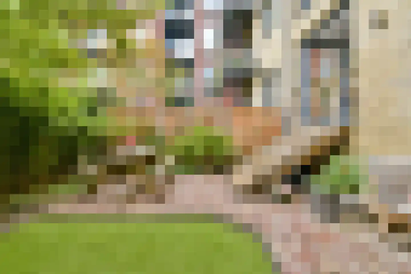 De Rijpgracht 6 E Amsterdam thumbnail 18