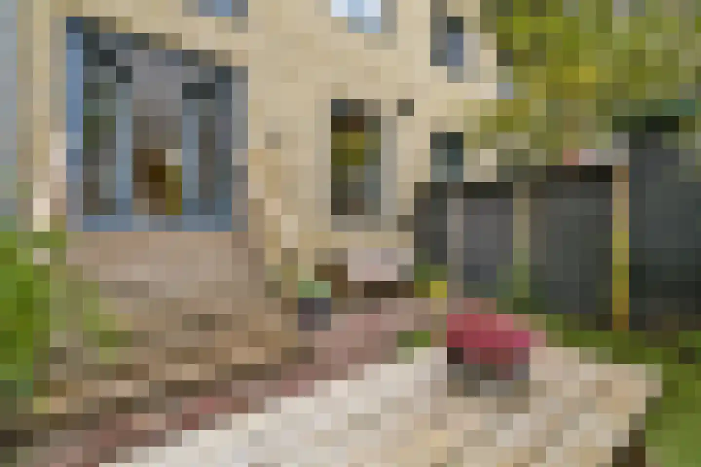 De Rijpgracht 6 E Amsterdam thumbnail 19