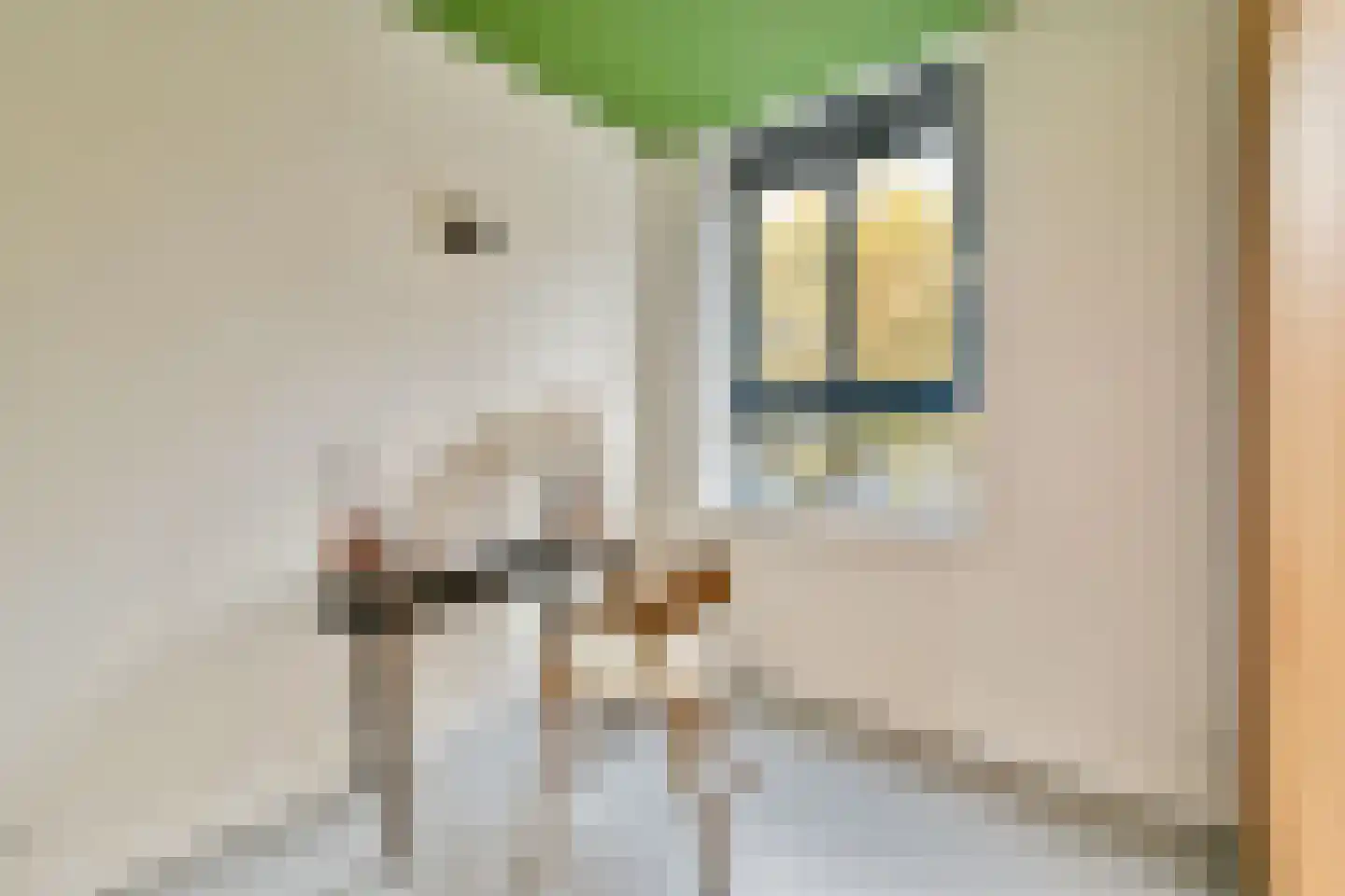 De Rijpgracht 6 E Amsterdam thumbnail 27
