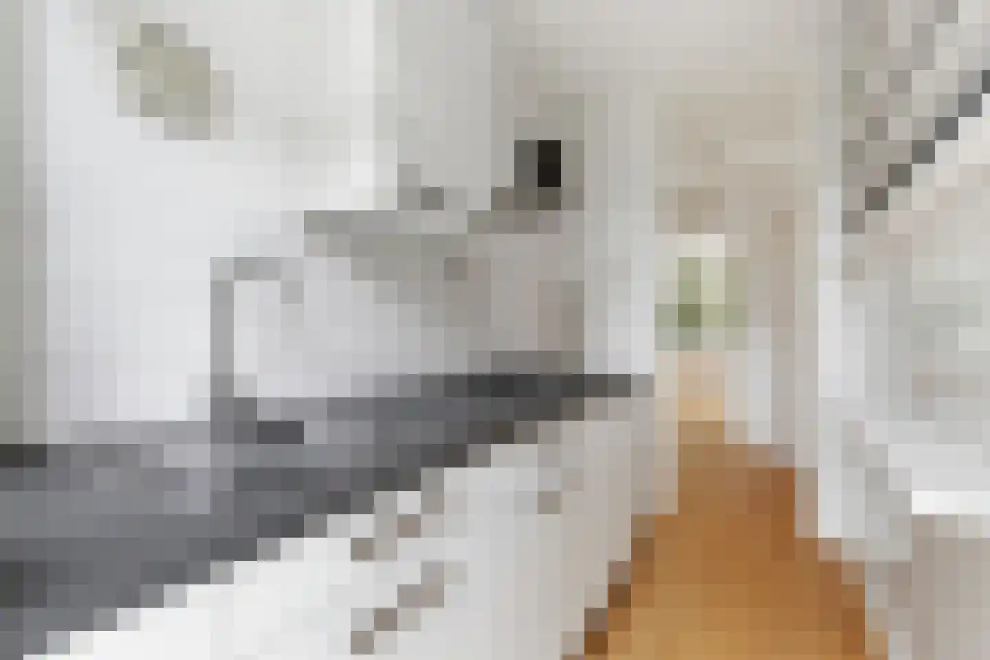 De Rijpgracht 61 2 Amsterdam thumbnail 11