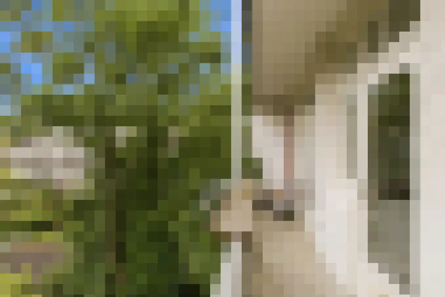 De Rijpgracht 61 2 Amsterdam thumbnail 23