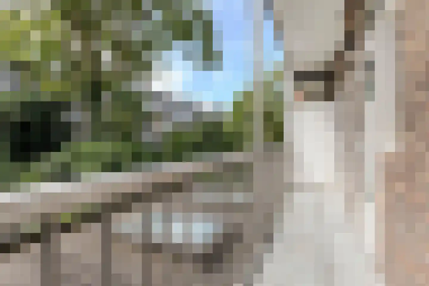 De Rijpgracht 9 1 Amsterdam thumbnail 27