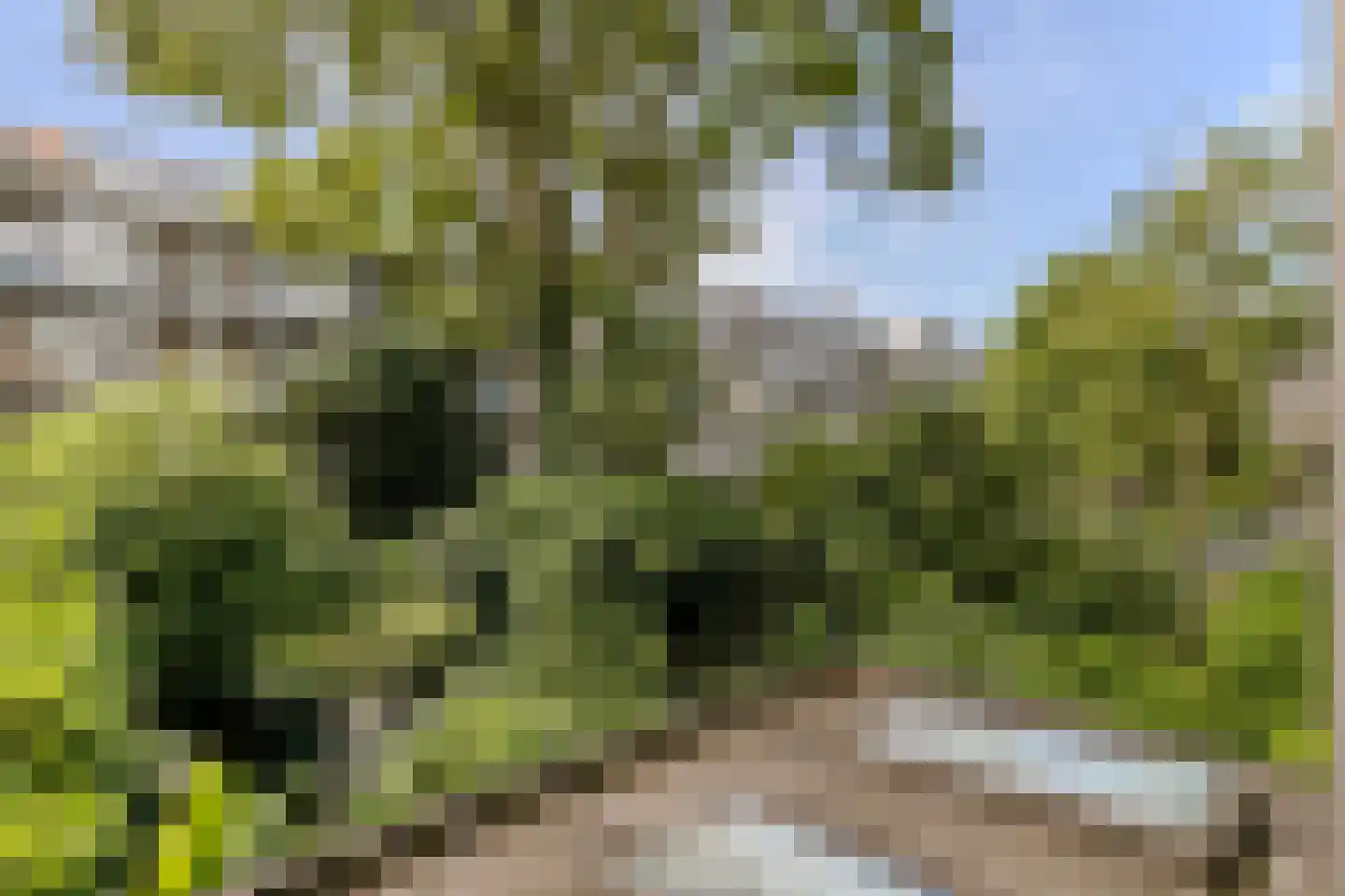 De Rijpgracht 9 1 Amsterdam thumbnail 29