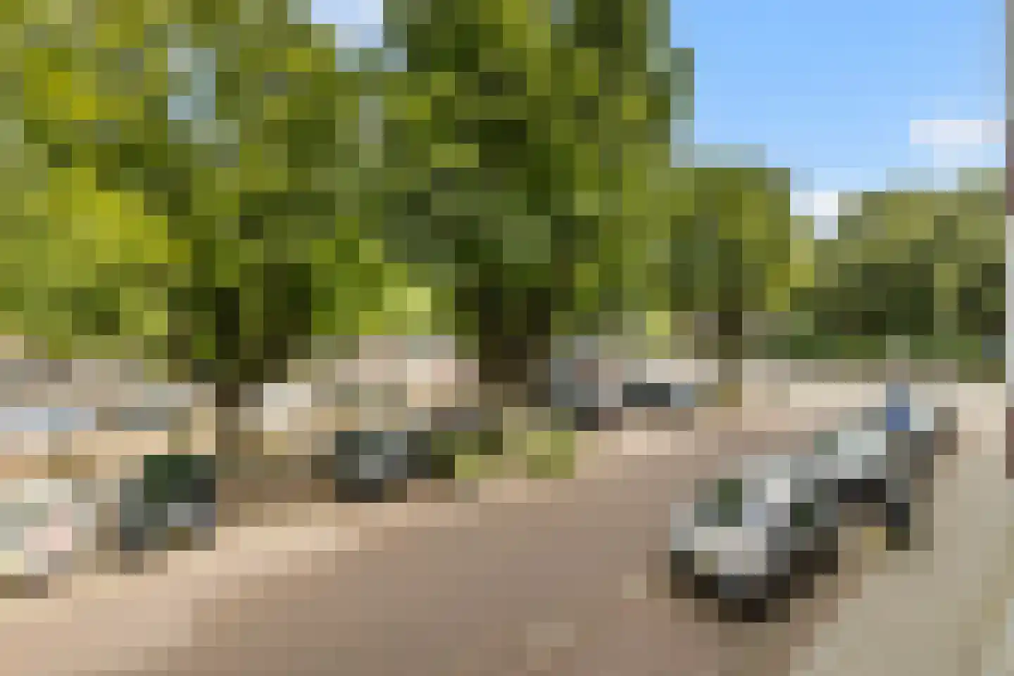 De Rijpgracht 9 1 Amsterdam thumbnail 31