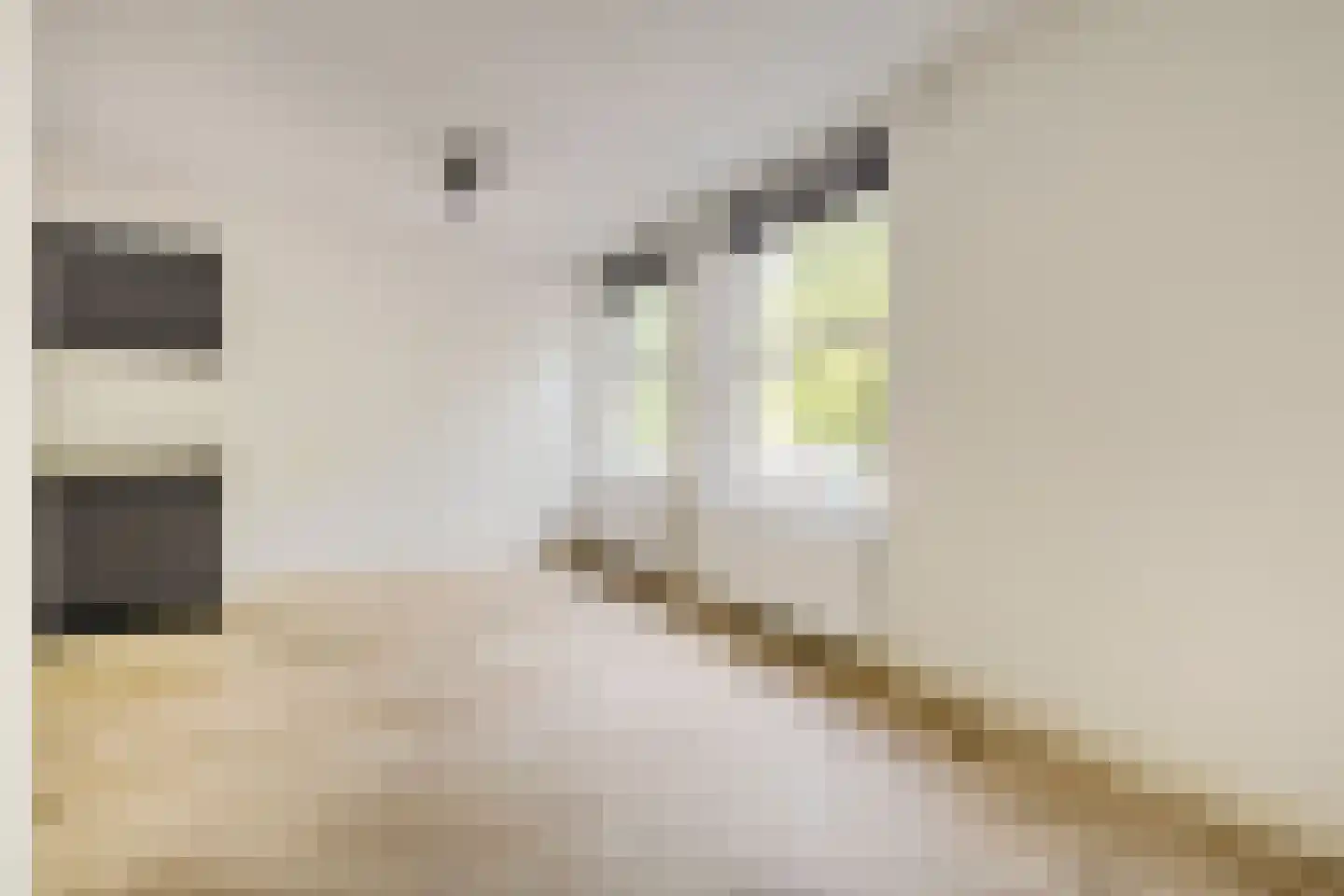 De Rijpgracht 9 2 Amsterdam thumbnail 11