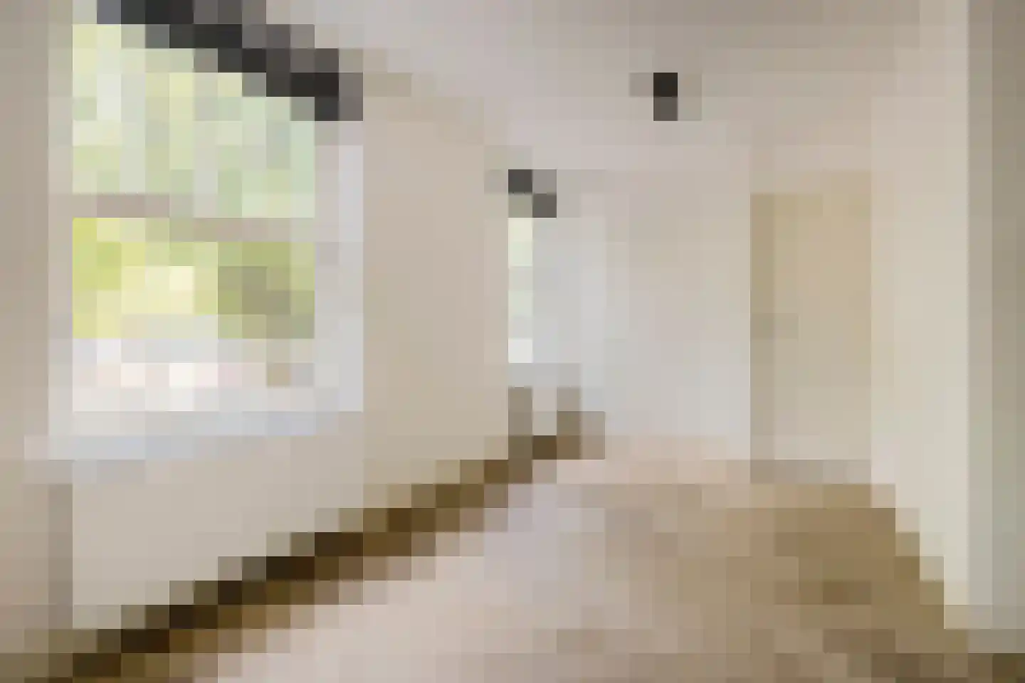 De Rijpgracht 9 2 Amsterdam thumbnail 14