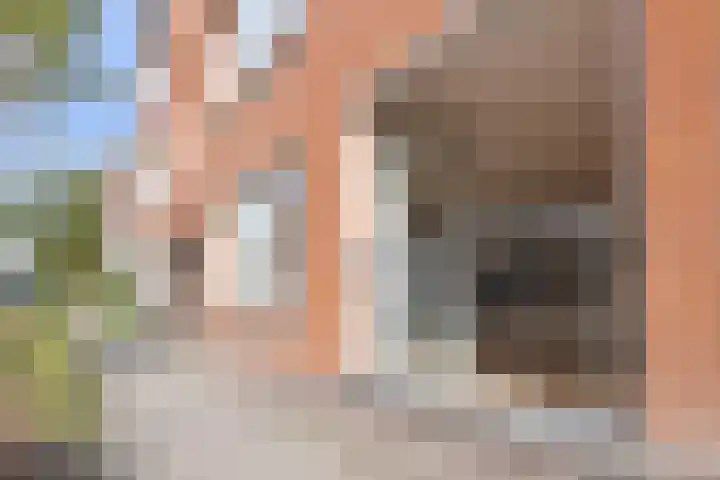 De Rijpstraat 3 Arnhem thumbnail 13