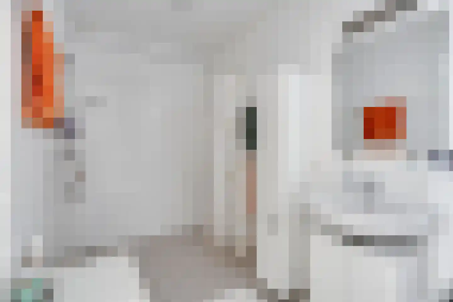 De Rijpstraat 5 Arnhem thumbnail 17