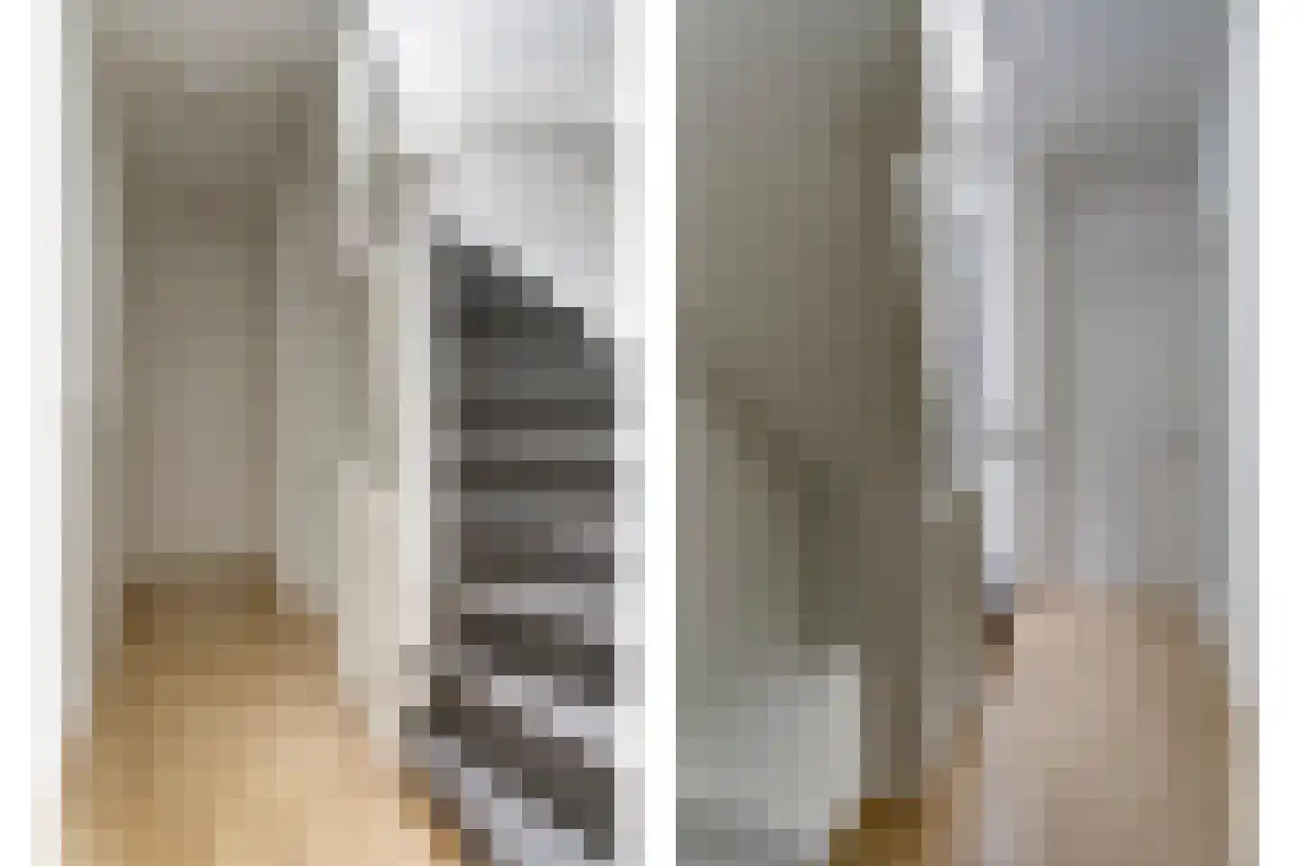 De Rijpstraat 6 Arnhem thumbnail 4