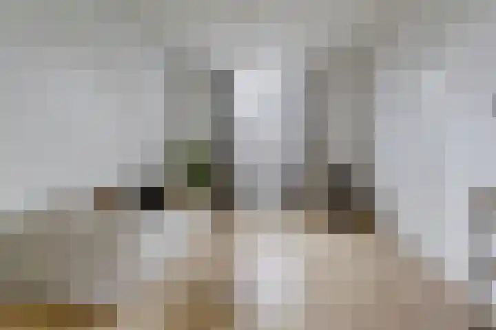 De Rijpstraat 6 Arnhem thumbnail 5