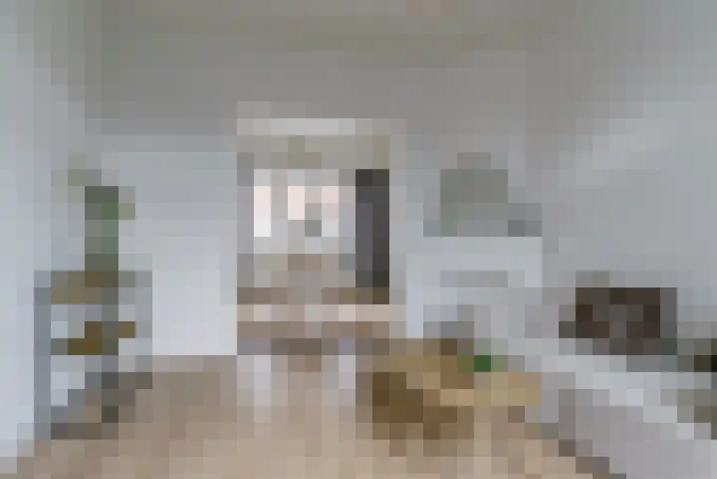 De Rijpstraat 6 Arnhem thumbnail 6