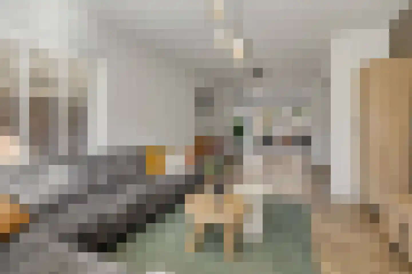 De Rijskamp 13 Berlicum thumbnail 11