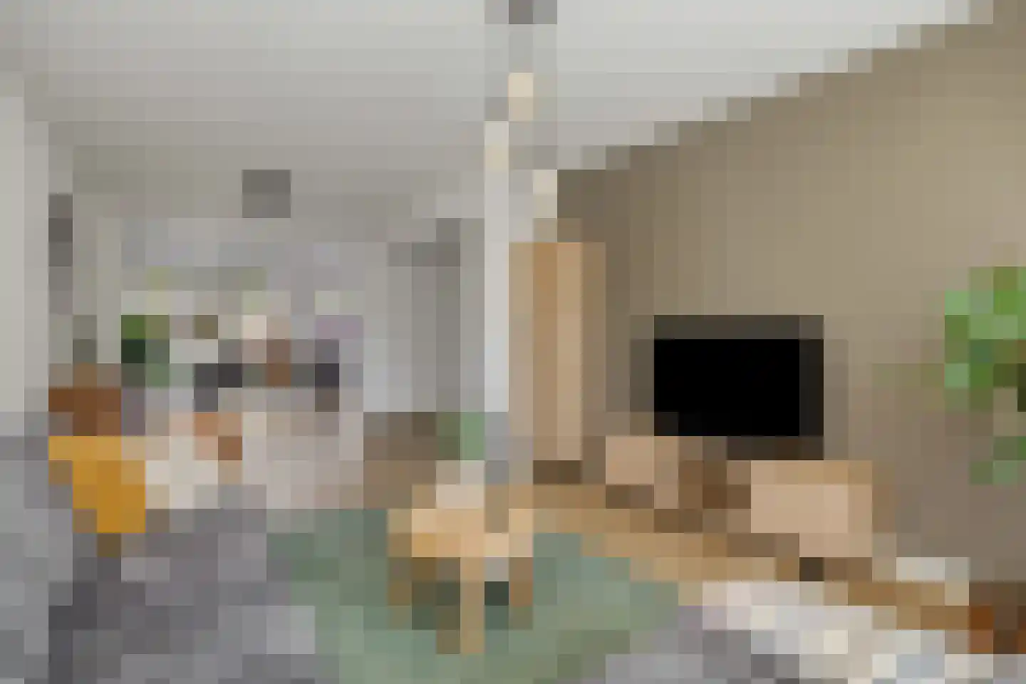De Rijskamp 13 Berlicum thumbnail 12