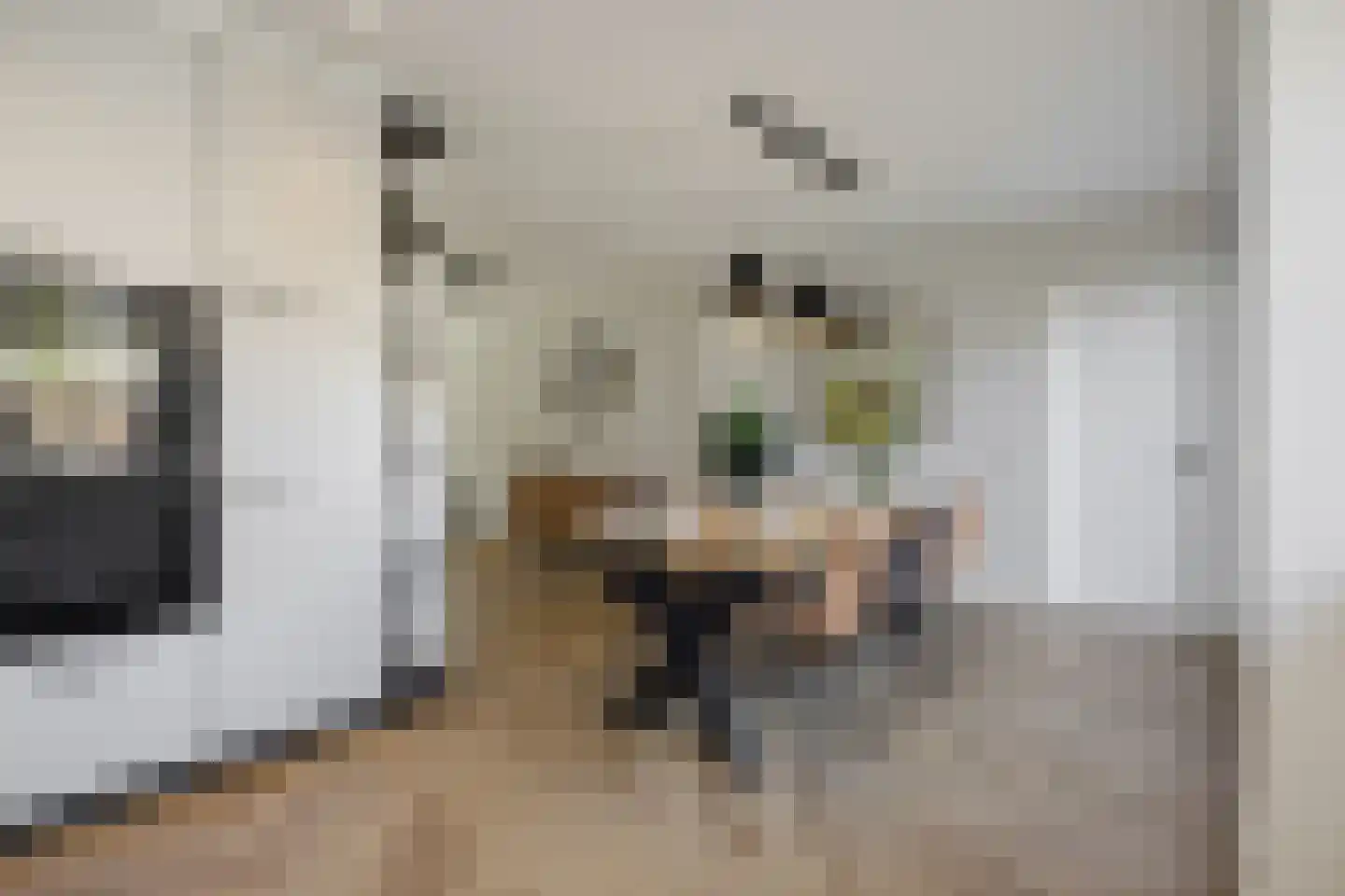 De Rijskamp 13 Berlicum thumbnail 18