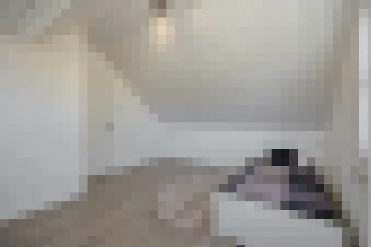 De Rijskamp 13 Berlicum thumbnail 37