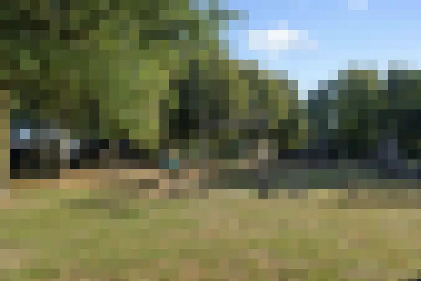 De Rijskamp 13 Berlicum thumbnail 45